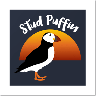 Stud Puffin Posters and Art